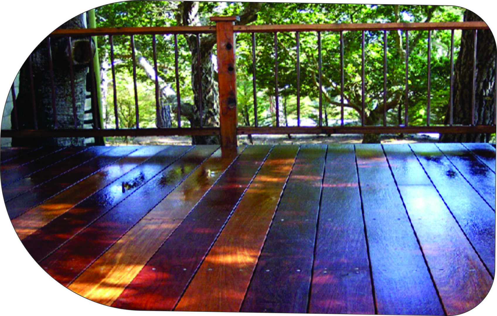 Deck washed by SPEEDY-CLEAN Painting & Pressure Washing